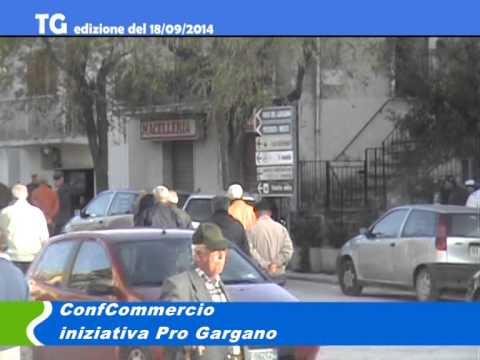 tg del 18/09/2014