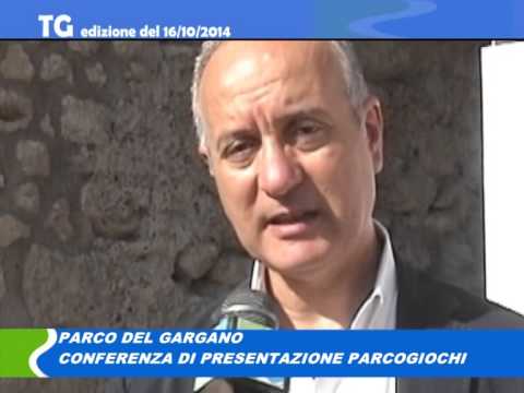 TG del 16 10 14