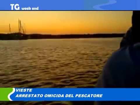 TG del 18 10 14
