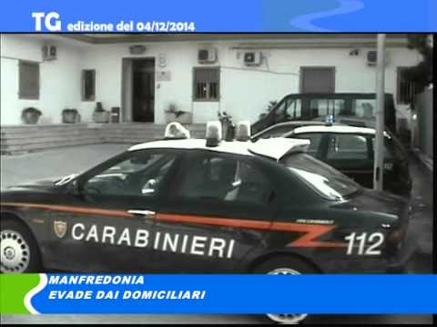 TG del 04 12 14