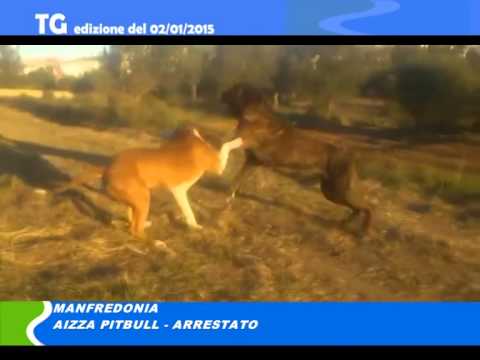 TG del 01 01 15