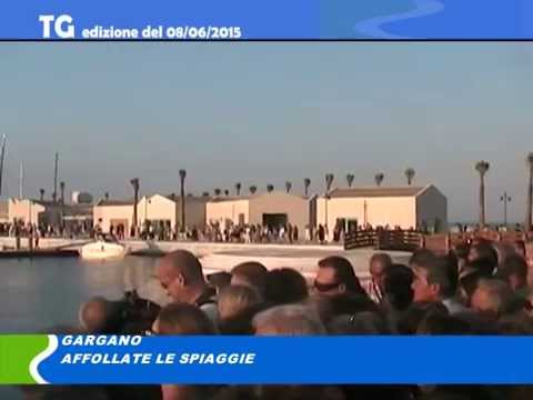 TG del 08 06