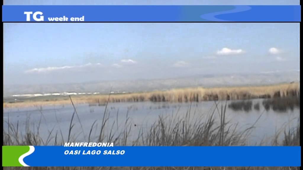 TG del 28 02 16