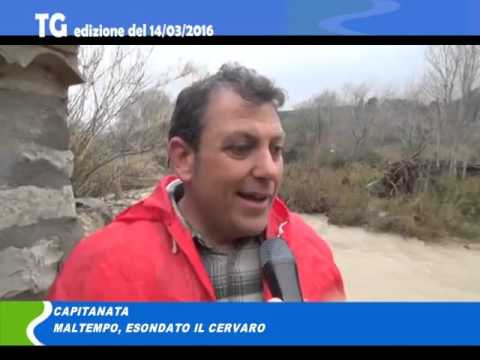 Tg del 14/03/2016