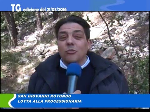 tg del 21/03/2016