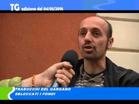 Tg del 04/05/2016