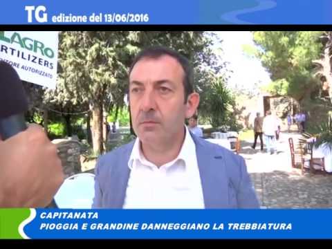 Tg del 13 06 2016