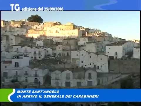 tg del 25/08/2016