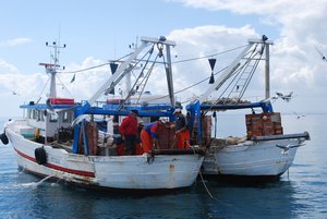 nasce il Distretto Produttivo della Pesca