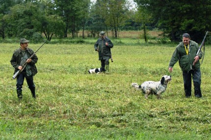 LIPU e Vas, caccia alle Tremiti, pessima trovata elettorale