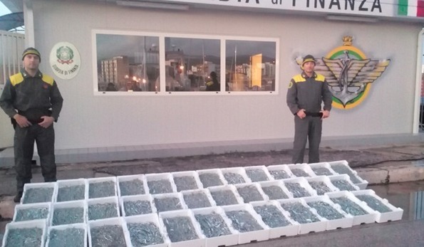 Pesca di frodo. GdF sequestra a Manfredonia 1 t di novellame: 4 denunce