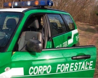 Antibracconaggio: 14 denunce della Forestale nel Foggiano