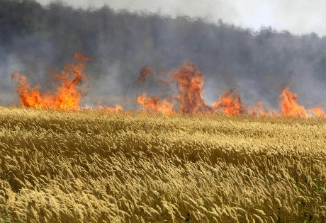 incendia stoppie, muore agricoltore