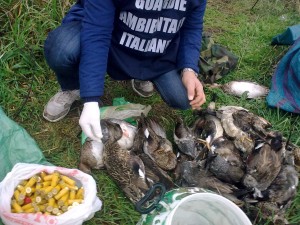 Guardie Ambientali: fermata attività bracconaggio