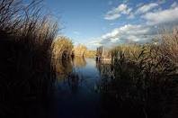 Festa dell'acqua: appuntamento al lago Salso