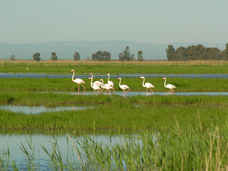 BRACCONAGGIO AL LAGO SALSO