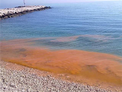 Analisi acque marine in prossimità della costa della piana di Mattinata