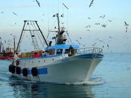 Pesca a strascico e vendita irregolare prodotti ittici: fioccano multe sul Gargano