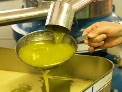 Olio tunisiono: Mongiello/Colomba “Scelta sbagliata”