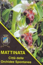 Mattinata città delle orchidee, ora è ufficiale