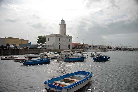 Prodotti ittici, 44 tonnellate sequestrate in Puglia, anche a Manfredonia