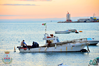 Manfredonia, marineria in affanno