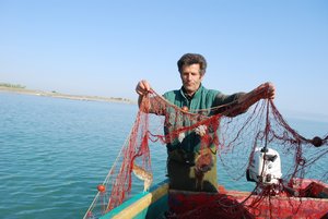 Golfo di Manfredonia, al via la pesca delle seppie