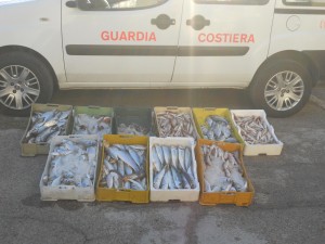 Pesce in strada con gas di scarico; sequestrato un quintale