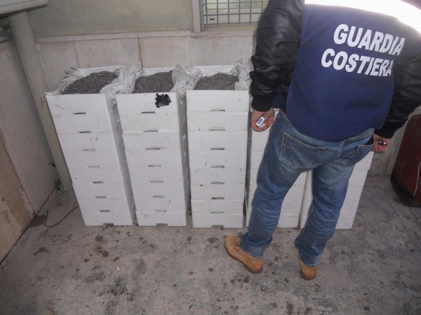sequestrata 1 tonnellata di pescato, 5 denunce