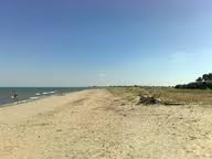 Puliamo la spiaggetta di Siponto