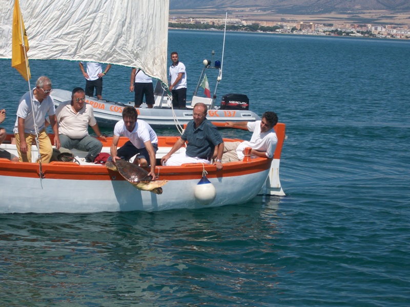 Riprendono i rilasci di tartarughe marine