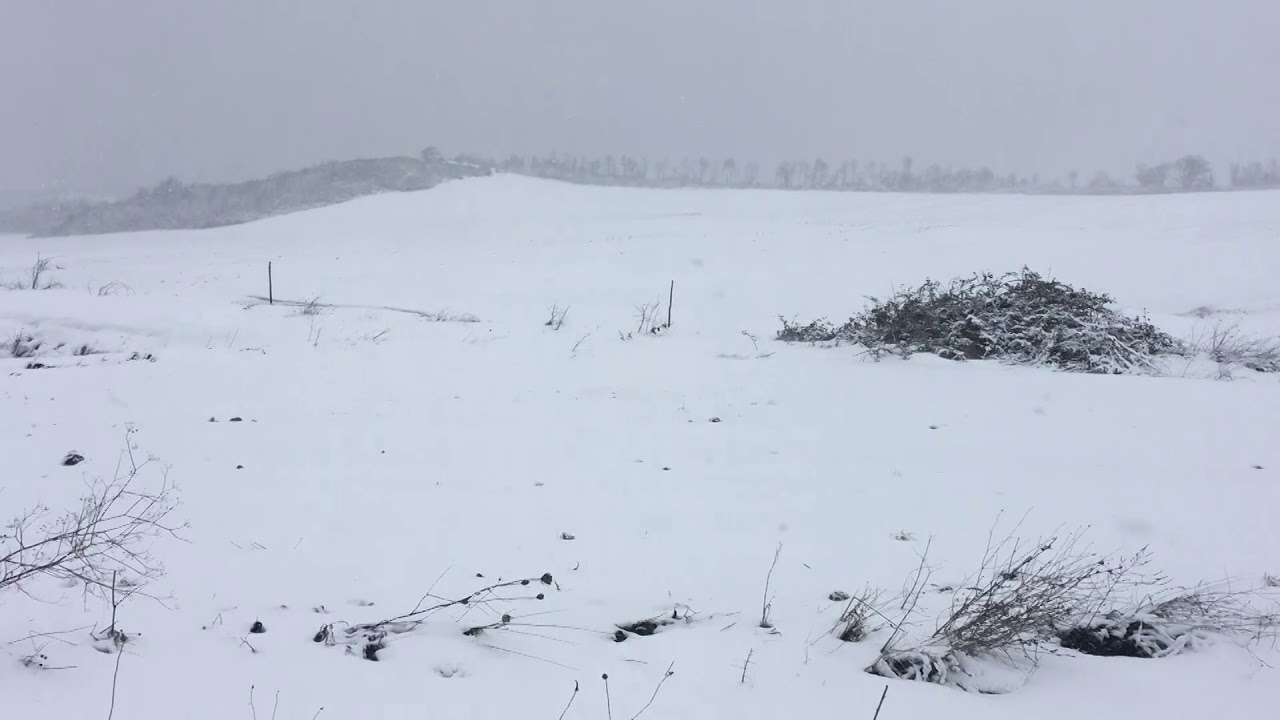 Video: Gargano e Monti Dauni: tornano gelo e neve