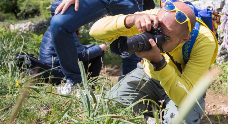 UN 25 APRILE FOTOGRAFANDO LE ORCHIDEE DEL GARGANO