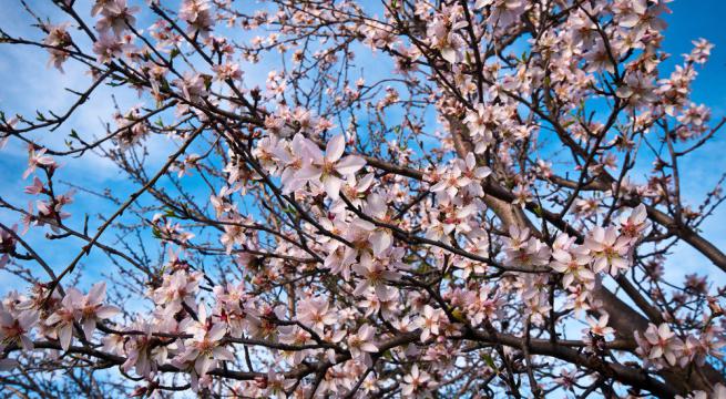 LE PREVISIONI METEO DEL WEEKEND: ANCORA INSTABILE