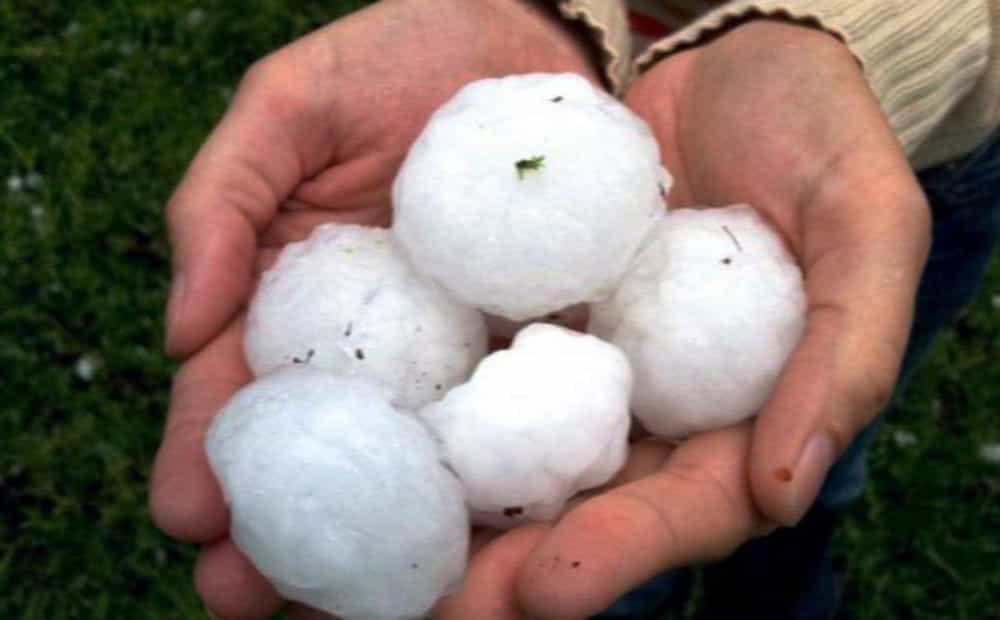 Grandine in provincia di Foggia: danni a ciliegie, cocomeri e frutteti „