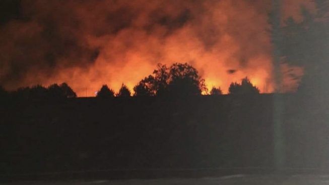 San Giovanni Rotondo, vasto incendio distrugge 4 ettari di macchia mediterranea