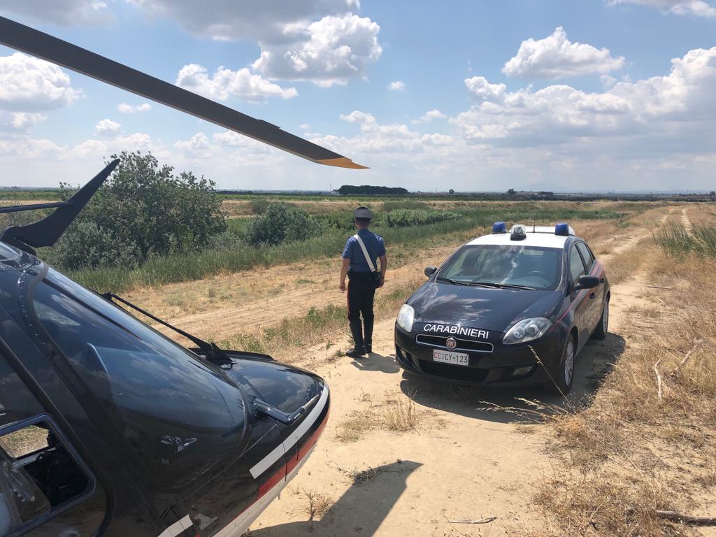 Ritrovati mezzi rubati a San Giovanni Rotondo. Scoperto “cimitero” auto